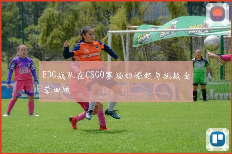 EDG战队在CSGO赛场的崛起与挑战全景回顾