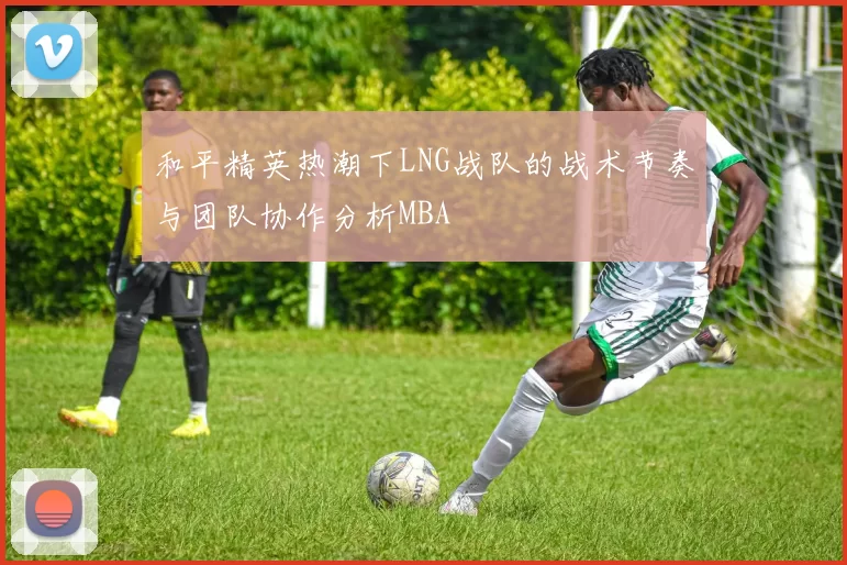 和平精英热潮下LNG战队的战术节奏与团队协作分析MBA