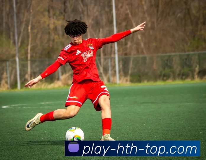 App Interface Preview