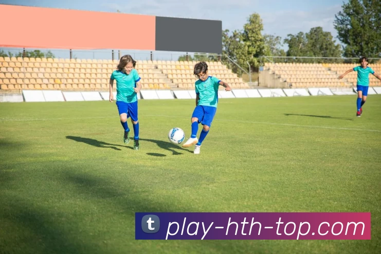 hth华体会APP 封面图